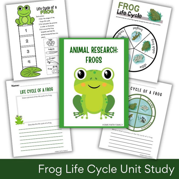 Life Cycle Of A Frog Kindergarten The Frog Life Cycle For Kids