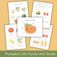 The Ultimate Pumpkin Life Cycle Unit Study for Kids