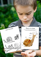 Bring Science to Life: Snails Unit Study - A Journey of Discovery for Young Minds